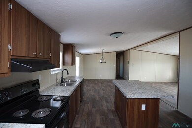 4213 Mimosa St, Carlsbad, NM 88220 - photo 7