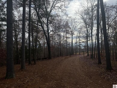 250 Cindy Dr, Murray, KY 42071 - photo 3