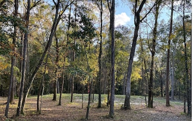 TBD SW Hill Creek Dr, Lake City, FL 32025 - photo 4