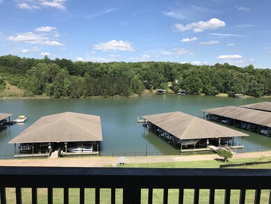 View from Back Porch