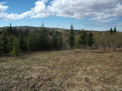 Open Meadow