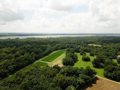 Norfolk Landing Rd, Lake Cormorant, MS 38641 - photo 3