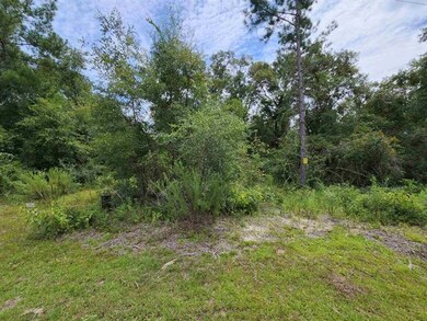 xx Friendship Ln, Crawfordville, FL 32327 - photo 5