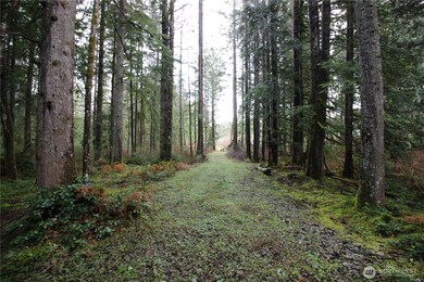 0 364th Ave SE, Maple Valley, WA 98038 - photo 5