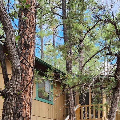 4028 Apache Trail, Pine, AZ 85544 - photo 3