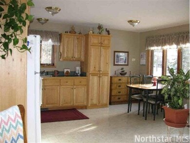 509 Grove Ave N, Park Rapids, MN 56470 - photo 5