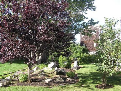 Yard/Garden. Well landscape back...