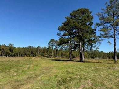 701 Barnes Rd, Pike Road, AL 36064 - photo 5