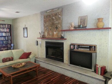 Fireplace on LVRM