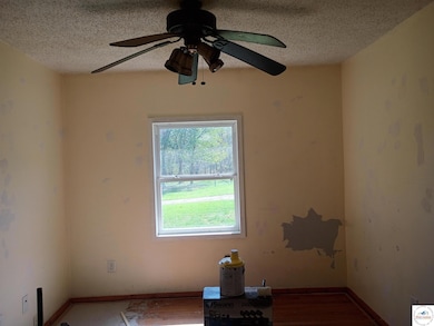 9805 N Farm Rd N 149 County Rd County Rd, Pleasantho, MO 65725 - photo 4