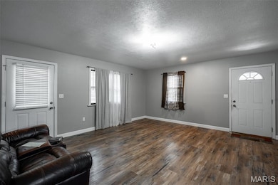 205 Batson Lake Ln, Poplar Bluff, MO 63901 - photo 5