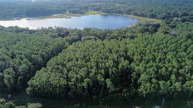 TBD SE 170th Ave, Ocklawaha, FL 32179 - photo 6