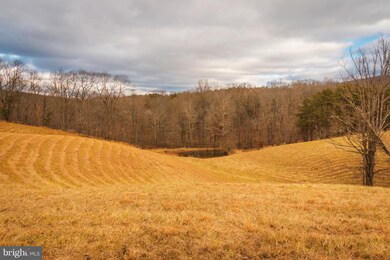 3738 Posey Hollow Rd, Berkeley Springs, WV 25411 - photo 2