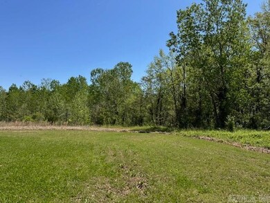 TBD U S Highway 67, Pocahontas, AR 72455 - photo 7