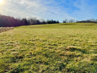 231 Highway 1003, Somerset, KY 42501 - photo 2