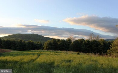 0 Evergreen Ct unit 1000403659, Bentonville, VA 22610 - photo 7