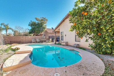 Citrus Grove-29