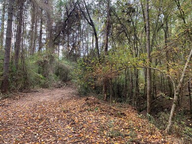 . Mcmillan Rd, Osyka, MS 39657 - photo 6