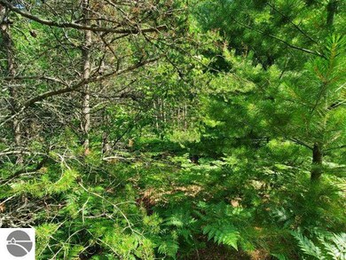 4153 S M-76, West Branch, MI 48661 - photo 7