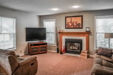The great room features a fireplace.
