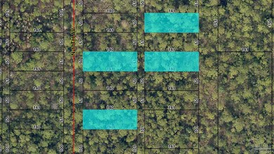 0 N 11th Ave, Avalon, FL 32583 - photo 3