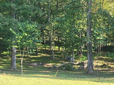 2285 Euchee Chapel Rd, Spring City, TN 37381 - photo 5