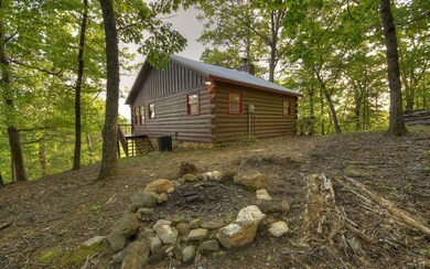 460 Forest Dr, Morganton, GA 30560 - photo 2