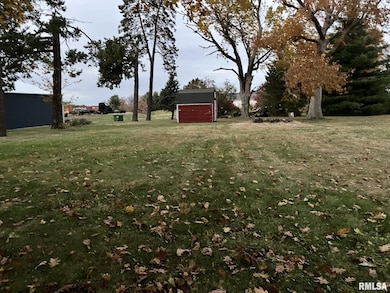 255 and 265 W Maple St, Roseville, IL 61473 - photo 4