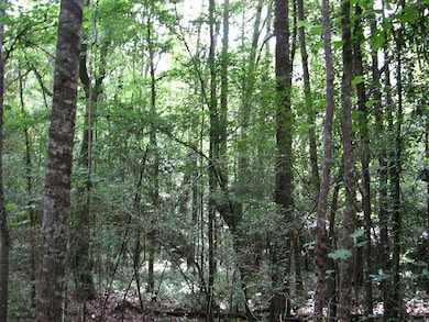 0 Athens Rd, Mendenhall, MS 39114 - photo 2