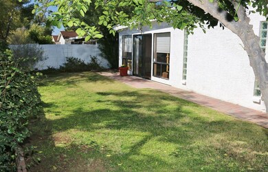 backyard2