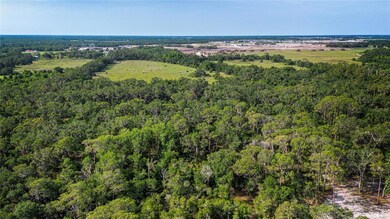 0 Butch Cassidy Trail, Wimauma, FL 33598 - photo 7