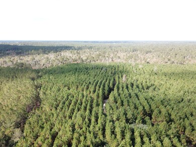 Gore Store Rd, Kountze, TX 77625 - photo 6