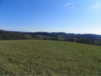 TBD Old Baxter Rd, Fall Branch, TN 37656 - photo 5