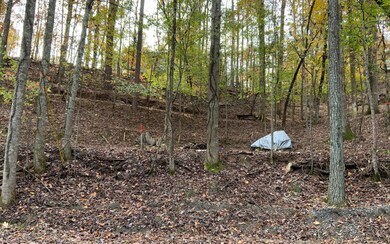 Additional View