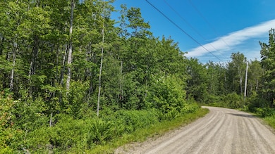 DJI_20250625144656_0176_D