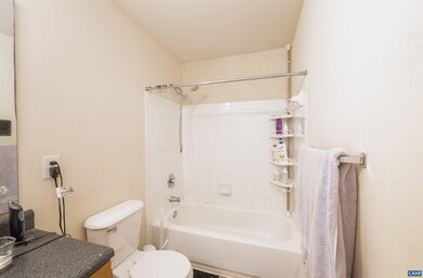 765 Denali Way unit 203, Charlottesville, VA 22903 - photo 5