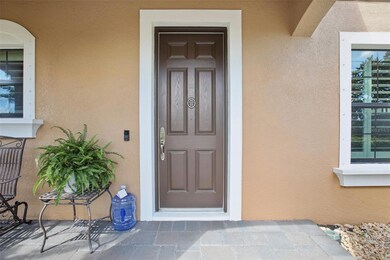 12506 Triple Creek Blvd, Riverview, FL 33579 - photo 2