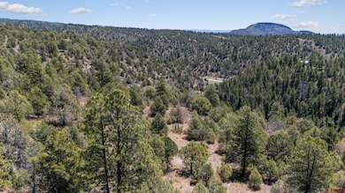 275 Logging Trail Rd, Durango, CO 81303 - photo 2