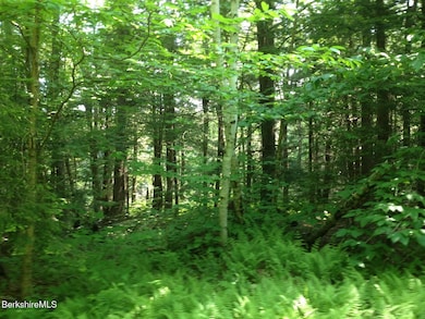 0 Trail Cir, Becket, MA 01223 - photo 3