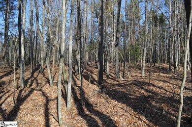 00 Union Hwy, Enoree, SC 29335 - photo 6