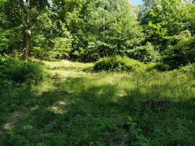 Lot 3 E Sylvania Rd, Bloomfield, IN 47424 - photo 6