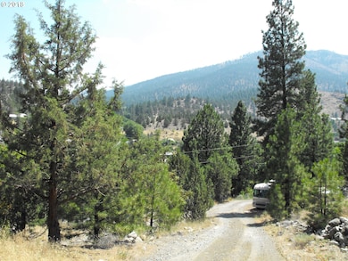 200 Scenic Dr N, Canyon City, OR 97820 - photo 3