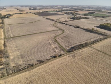 TBD County Road 15, Kasson, MN 55944 - photo 5