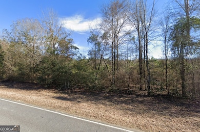 6.98 ACRES Brewton Lovett Rd, East Dublin, GA 31027 - photo 5