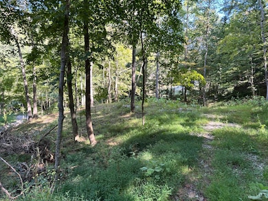 0 Coon Hollow Rd, Lucasville, OH 45648 - photo 3