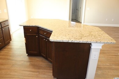 551 Whiddy Loop unit Lot 28, Conway, SC 29526 - photo 6