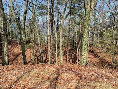 IMG-0351