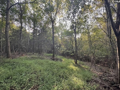 0 Shaw Rd, Woodruff, SC 29388 - photo 2