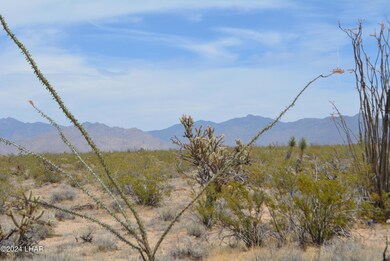 4 Lots Mohave Rd, Yucca, AZ 86438 - photo 3