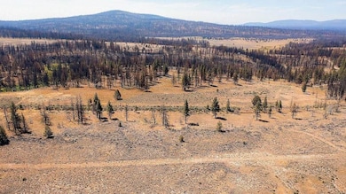 0 Maple unit 25650217, Bly, OR 97622 - photo 5